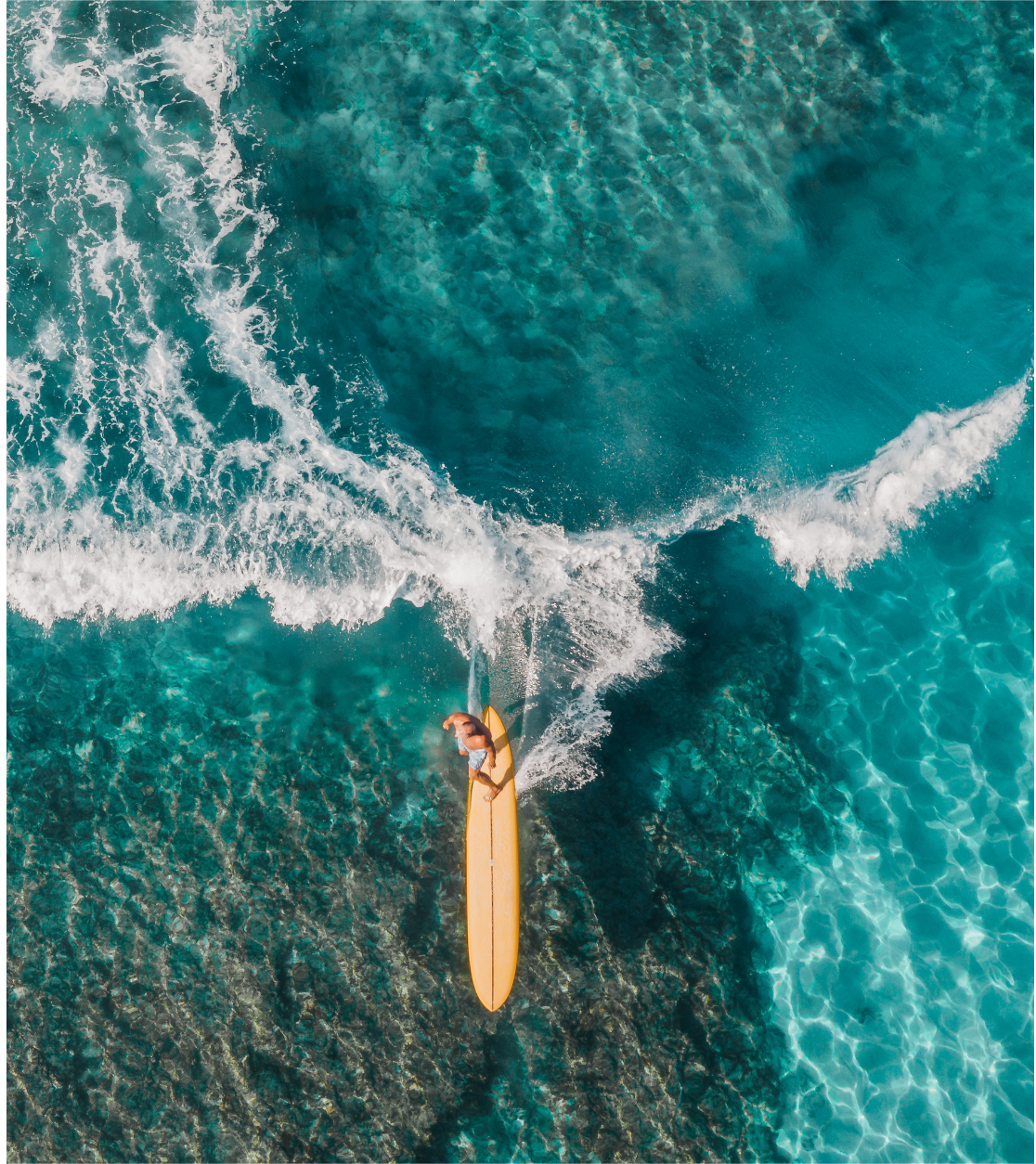 Rising to the Challenge, First Time Surfing Knowledge Revealed!