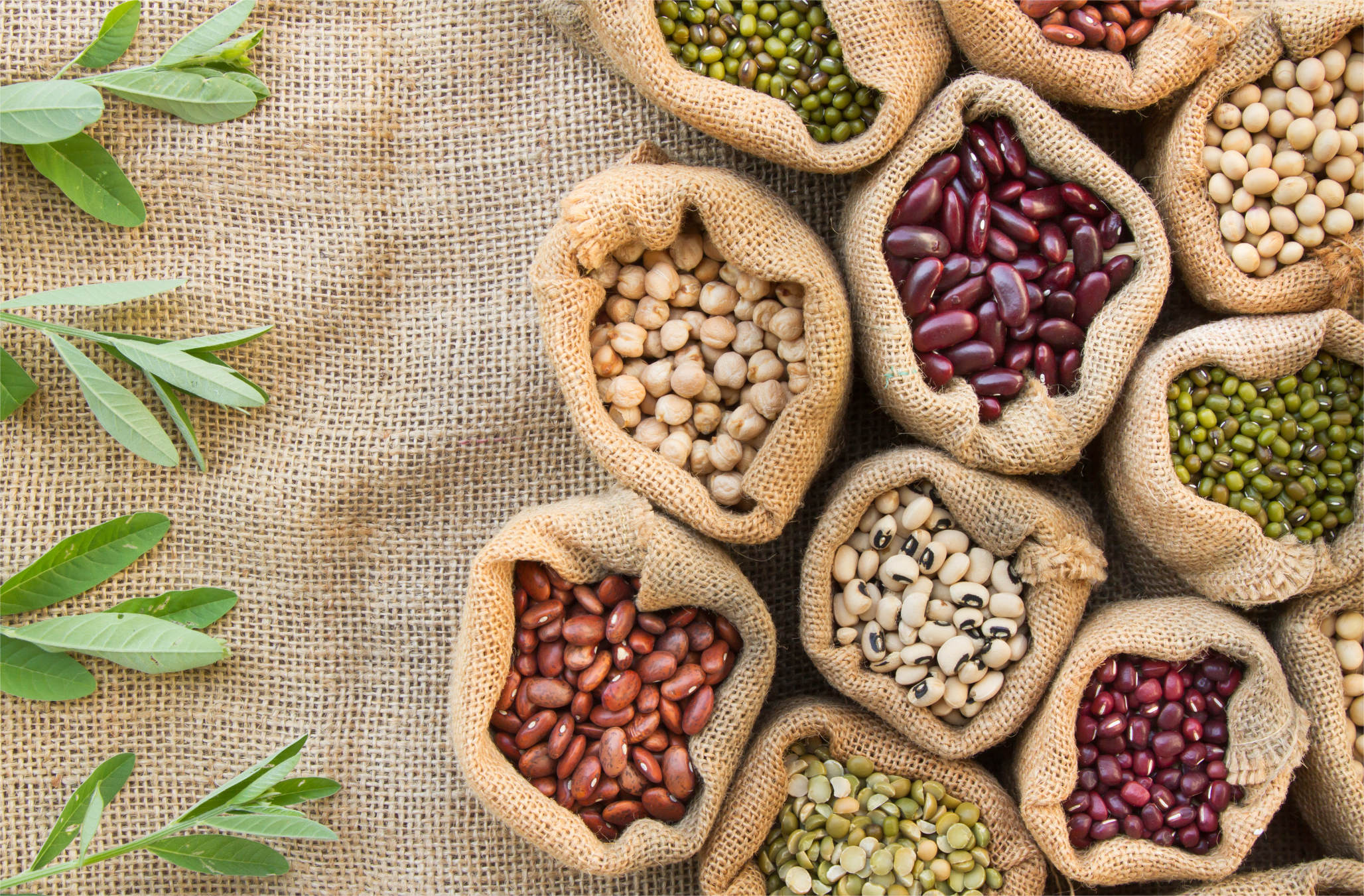 These Innovative Strategies Help You Easily Increase Your Plant Protein Intake